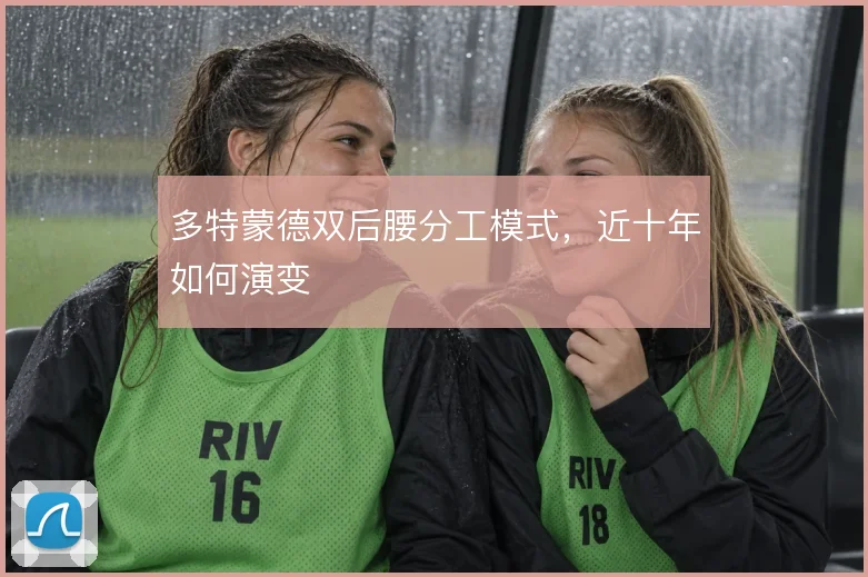 多特蒙德双后腰分工模式,近十年如何演变