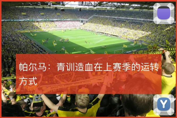 帕尔马：青训造血在上赛季的运转方式
