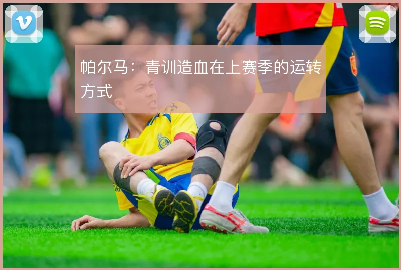 帕尔马:青训造血在上赛季的运转方式